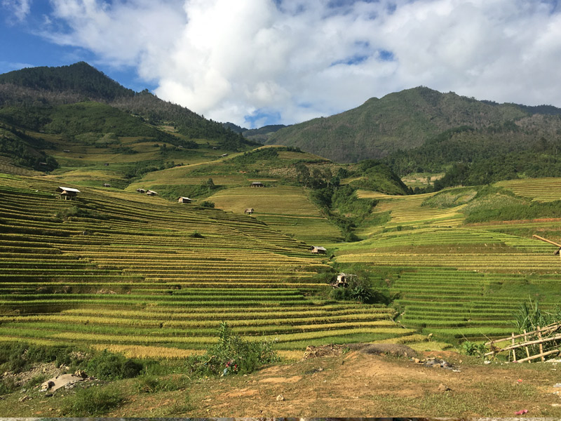 Rice terraces Mu Cang Chai