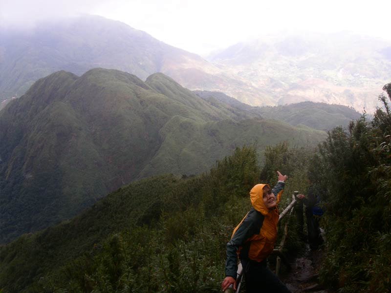 Walking through jungles